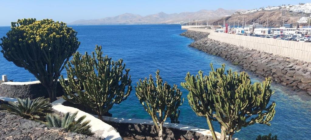 Oceanview Apartment Puerto del Carmen  Zewnętrze zdjęcie